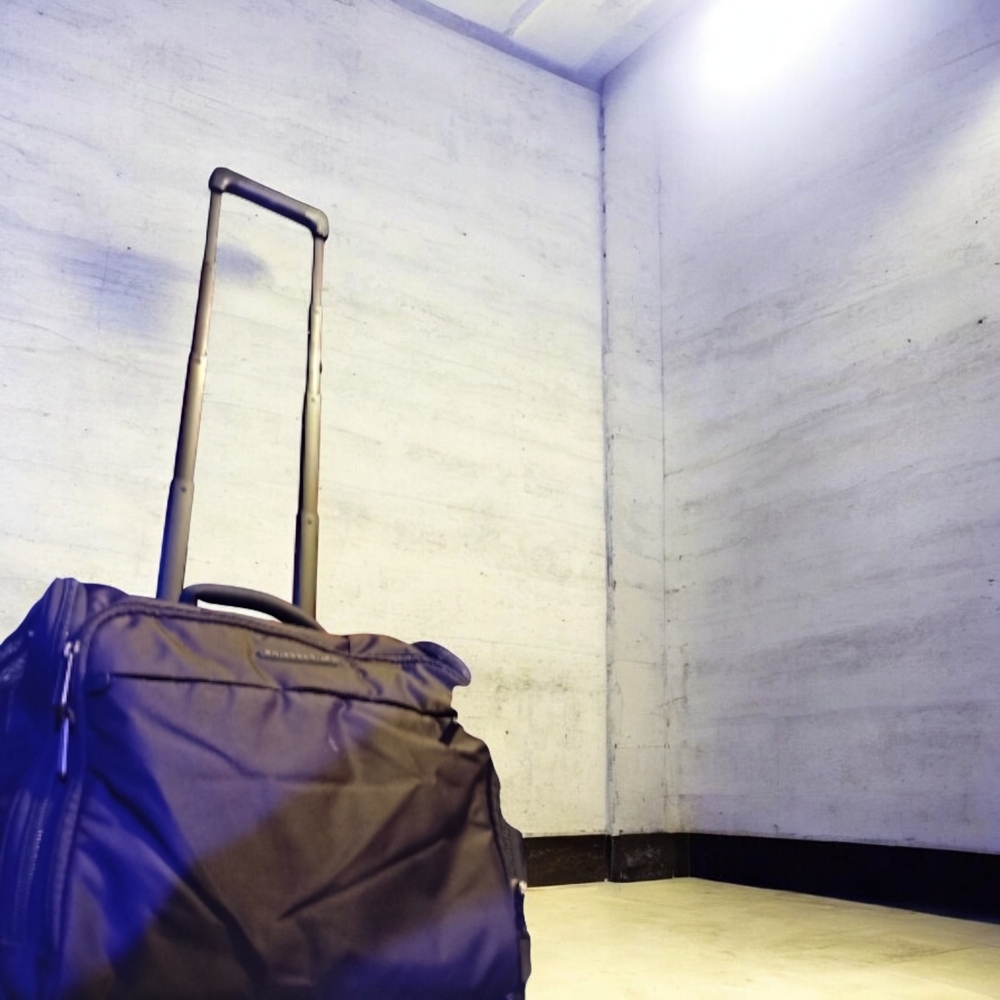 Briggs & Riley Black Rolling Travel Bag